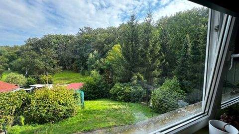Falkenstein/Harz Häuser, Falkenstein/Harz Haus kaufen
