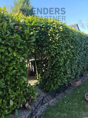 Komposter hinter Gartenhecke