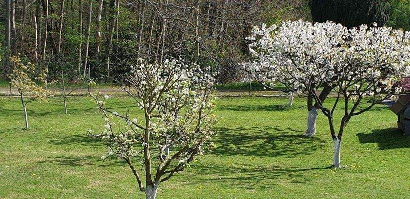 WhatsApp Image 2025-10-28 at 16.51.44-5.jpeg