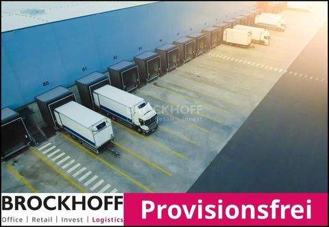 Willich Halle, Willich Hallenfläche