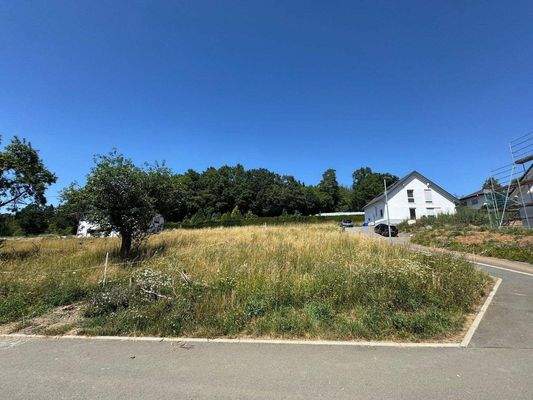 Wunderschöne, ruhige Lage 