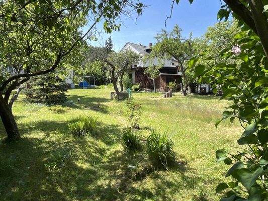 Blick aufs Grundstück