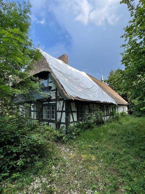 Fintel Häuser, Fintel Haus kaufen