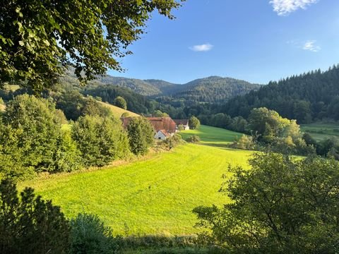 Waldkirch Häuser, Waldkirch Haus mieten 