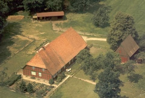 Diepenau Bauernhöfe, Landwirtschaft, Diepenau Forstwirtschaft