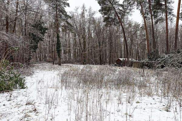 Blick auf das Grundstück