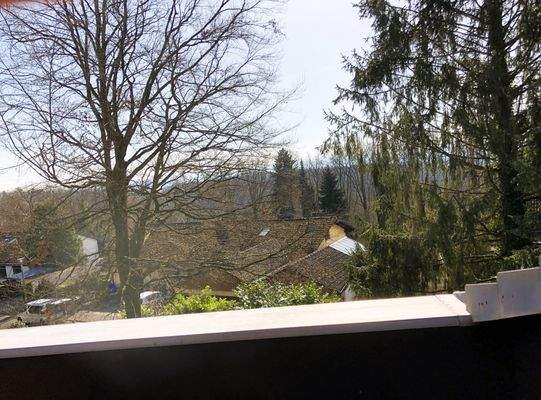 Blick von der Dachterrasse.jpeg