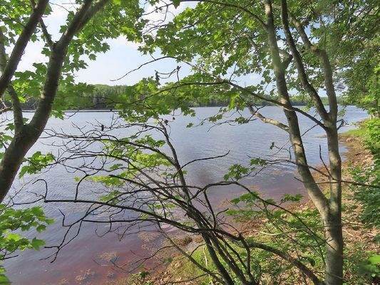 Cape Breton - Wunderschönes Fluss-Ufergrundstück a