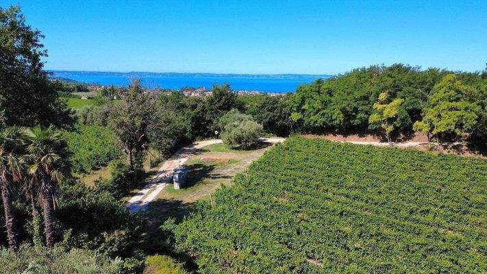 dji_fly_20250709_102032_17_1752051930049_photo_opt