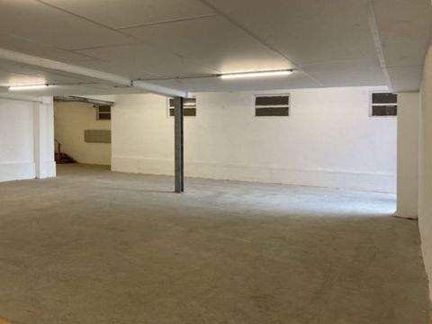 Schmidmühlen Halle, Schmidmühlen Hallenfläche