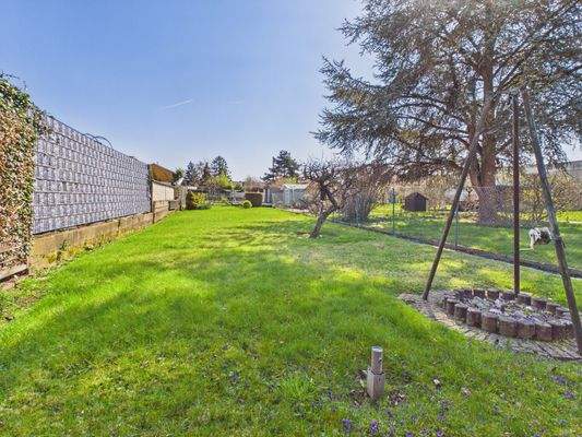 Garten hinteres Grundstück 