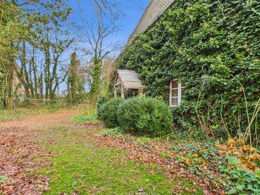 Freifläche vor Haupteingang - Lütt Immobilien - Gadendorf