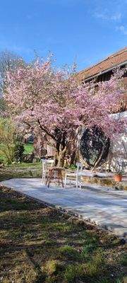 Wunderschöne Natur…