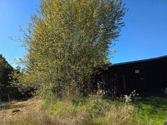 Ansicht Ost nach West unterhalb