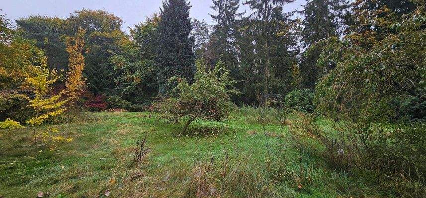 Grundstücksansicht 4.jpg