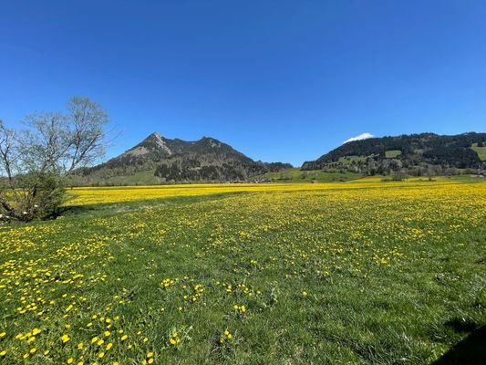 Blick nach Norden