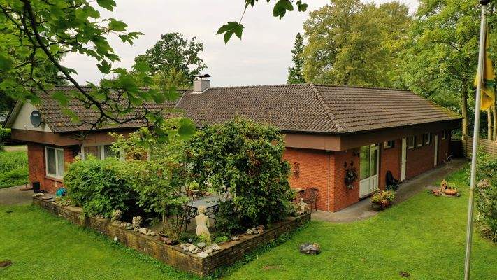 Eingewachsener Garten