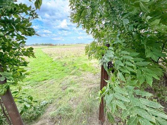 Weite Sicht ins Feld