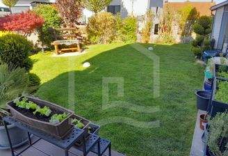 1 Garten