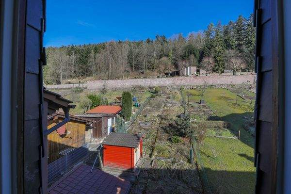 Garten - Aussicht DG