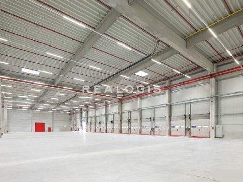 Ingolstadt Halle, Ingolstadt Hallenfläche