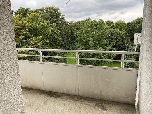 gr. Balkon mit Blick ins Grüne