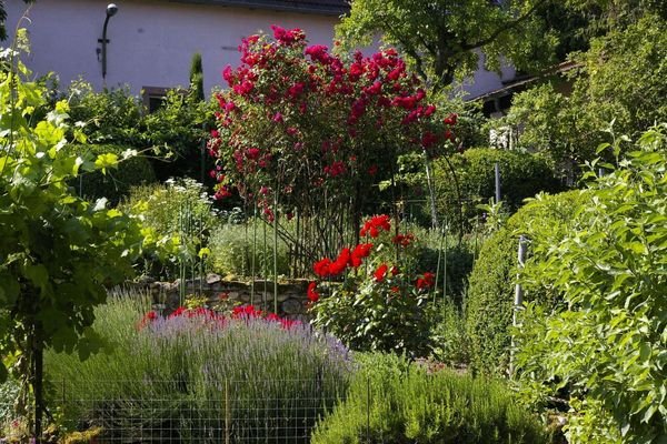 Garten Impressionen