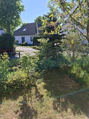 Garten zur Straße hin