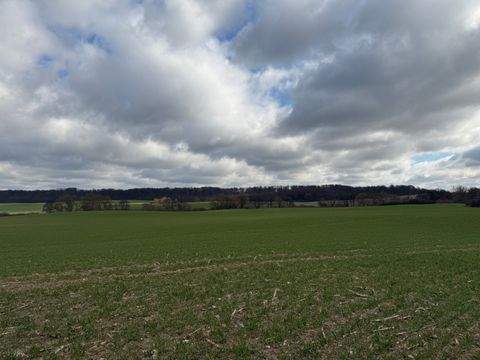Schwerin Bauernhöfe, Landwirtschaft, Schwerin Forstwirtschaft