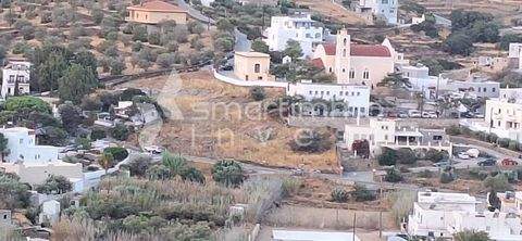 Kini, Syros Bauernhöfe, Landwirtschaft, Kini, Syros Forstwirtschaft