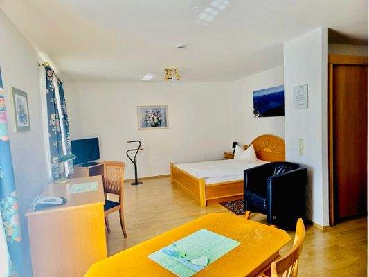 Hotel- geräumiges Einzelzimmer