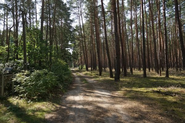 Auf dem Weg vorne (8).JPG