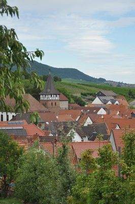 idyllische Lage nahe Landau 