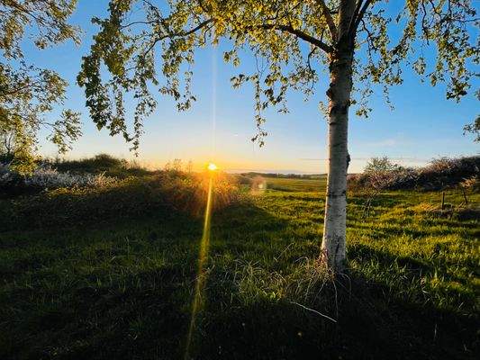 Sonnenuntergang in Göhren.jpeg