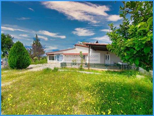 dee2b11471dc4b4c861ac2d572acab99-original