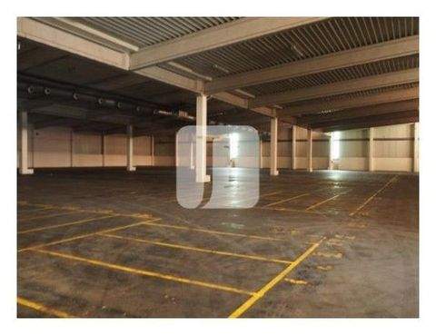 Buxtehude Halle, Buxtehude Hallenfläche