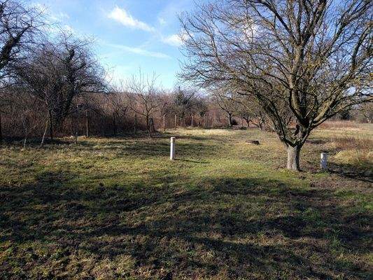 IMG_20250228_111316 (1).jpg