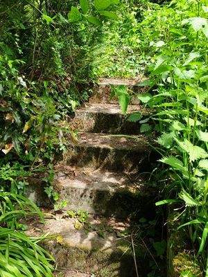 EFHReichenschwand Treppe.jpg