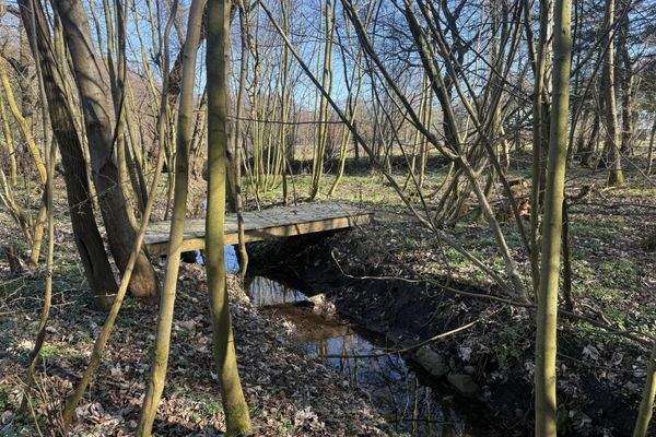 neuer Steg über den Bach