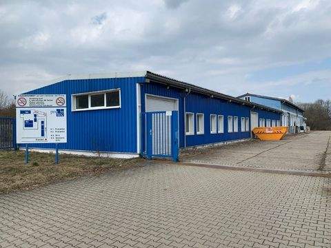 Neustadt Halle, Neustadt Hallenfläche