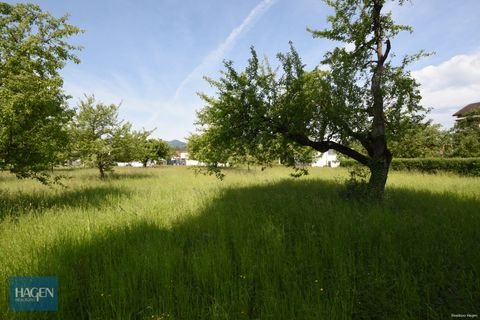 Lustenau Grundstücke, Lustenau Grundstück kaufen