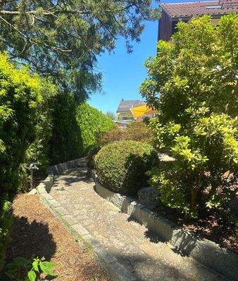 Weg zum Waldgrundstück