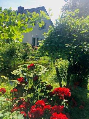 Bild2