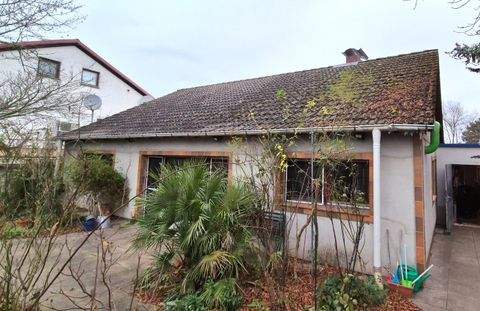 Lampertheim Häuser, Lampertheim Haus kaufen