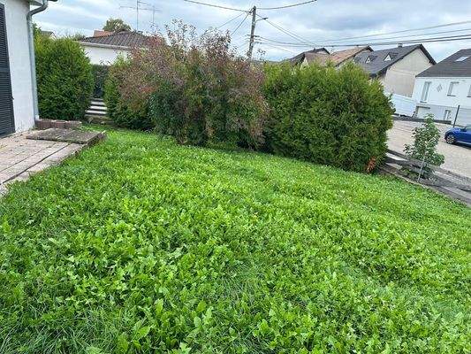 6ebc33c8-7bb6-4f2b-81f4-0f938f98d45a (1).jpeg