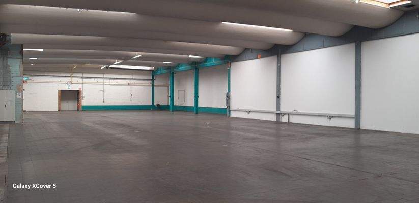 Halle 1 Bild 3.jpg