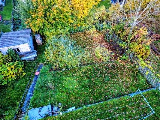 5263 - Herbstansicht des Grundstücks mit Gartenhaus