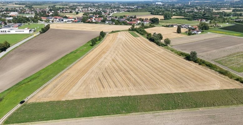 Luftbild Gesamtgrundstück