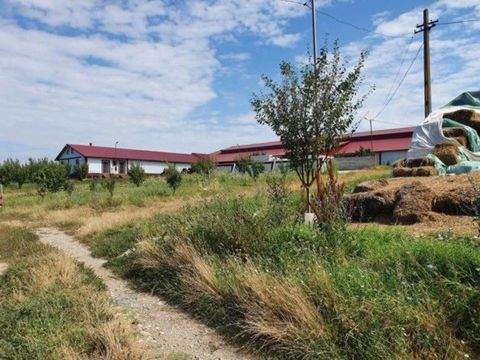 Vedea Häuser, Vedea Haus kaufen