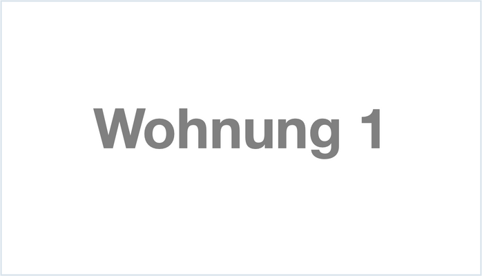 Wohnung 1